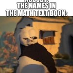 If difgbhjdb had 5 apples, and sdfgdsfhyucguy had 92 then what is both the powers cubed? | NOBODY:; THE NAMES IN THE MATH TEXT BOOK: | image tagged in drunk kung fu panda,funny,funny memes,fun,relatable,memes | made w/ Imgflip meme maker