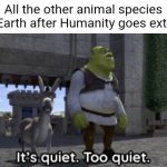 A rather dark attempt at being funny | All the other animal species on Earth after Humanity goes extinct | image tagged in it s quiet too quiet shrek | made w/ Imgflip meme maker