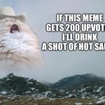Screaming Cowboy Cat | IF THIS MEME GETS 200 UPVOTES I’LL DRINK A SHOT OF HOT SAUCE | image tagged in screaming cowboy cat | made w/ Imgflip meme maker