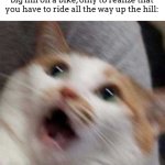 This happened to me today /srs | When you have fun going down a big hill on a bike, only to realize that you have to ride all the way up the hill: | image tagged in oh no cat,biking,struggles | made w/ Imgflip meme maker
