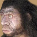 Neanderthal head