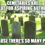 Cemetery | CEMETARIES ARE GREAT FOR ASPIRING AUTHORS; BECAUSE THERE'S SO MANY PLOTS | image tagged in cemetery | made w/ Imgflip meme maker