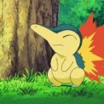 Anger cyndaquill meme