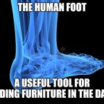 Human foot | THE HUMAN FOOT; A USEFUL TOOL FOR FINDING FURNITURE IN THE DARK | image tagged in human foot | made w/ Imgflip meme maker