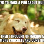 If I ask you to build a skycraper is that a tall order? | I WANTED TO MAKE A PUN ABOUT BUILDINGS; THEN I THOUGHT OF MAKING A MEME MORE CONCRETE AND CONSTRUCTIVE | image tagged in dog laughing | made w/ Imgflip meme maker
