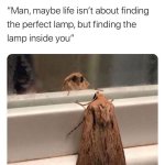 Maybe life isn't about find the perfect lamp
