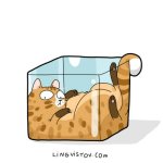 A cats way of thinking