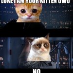 Cat wars: the kitten empire strikes back | LUKE I AM YOUR KITTEN UWU; NO. | image tagged in luke i'm your father,kitten,grumpy cat | made w/ Imgflip meme maker
