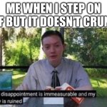 It’s very sad | ME WHEN I STEP ON LEAF BUT IT DOESN’T CRUNCH | image tagged in my dissapointment is immeasurable and my day is ruined,fun,relatable,fall | made w/ Imgflip meme maker