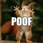 Squirrel poof | AAAAAND; POOF; HE GONE | image tagged in squirrel poof | made w/ Imgflip meme maker