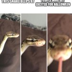 This snake bleps at | PEOPLE WHO GET EXCITED FOR HALLOWEEN | image tagged in this snake bleps at,happy halloween,snake | made w/ Imgflip meme maker