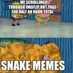I got like 26 of them in a row | ME SCROLLING THROUGH IMGFLIP HOT PAGE FOR HALF AN HOUR TOTAL; SNAKE MEMES | image tagged in spongebob and patrick open the award closet,snake,snakes,stop | made w/ Imgflip meme maker