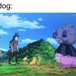 the “dog” meme