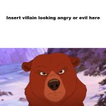 wild bear vs who