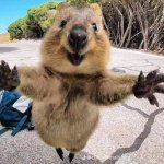 Aminal