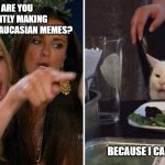 Because I can | WHY ARE YOU CONSTANTLY MAKING CIRCASSIAN/CAUCASIAN MEMES? BECAUSE I CAN THAT'S WHY | image tagged in woman yelling at white cat,funny,memes,sarcasm | made w/ Imgflip meme maker