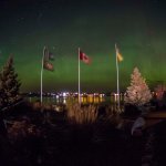 flags