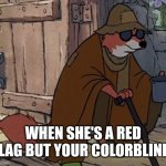 When your colorblind | WHEN SHE'S A RED FLAG BUT YOUR COLORBLIND: | image tagged in blind fox hd | made w/ Imgflip meme maker