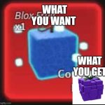 lol | WHAT YOU WANT; WHAT YOU GET | image tagged in blox fruits control fruit | made w/ Imgflip meme maker