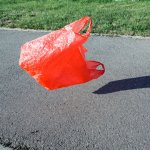 Bag blowing in wind