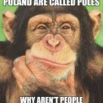 Poles and Holes | IF PEOPLE FROM POLAND ARE CALLED POLES; WHY AREN'T PEOPLE FROM HOLLAND CALLED HOLES? | image tagged in chimp,chimpanzee,poles,holes,meme,monke | made w/ Imgflip meme maker