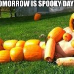 ignore the template lol and no this is not me | TOMORROW IS SPOOKY DAY!!! | image tagged in pumpkin man,lol,halloween,happy halloween | made w/ Imgflip meme maker