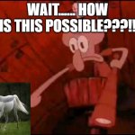 Squidward pointing | WAIT...... HOW IS THIS POSSIBLE???!! | image tagged in squidward pointing,memes,funny,funny memes | made w/ Imgflip meme maker