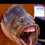 aaaaa | dentist: "Ok, open wide."
me: | image tagged in fish face,memes,funny,ahhhhhhhhhhhhh | made w/ Imgflip meme maker