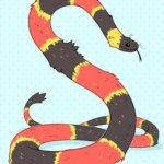Fuzzy snake