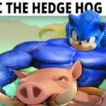 Hedge hog rider