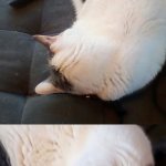 Eepy charger