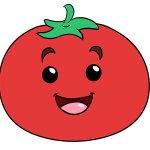 tomato