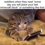 those posts are so cringe bro… | redditors when they read “some day you will place your last minecraft block” or something like that: | image tagged in sad cat phone,cringe,reddit,minecraft,memes,i forgor | made w/ Imgflip meme maker