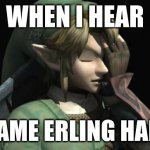 Erling Halland | WHEN I HEAR; THE NAME ERLING HALLAND | image tagged in link facepalm | made w/ Imgflip meme maker