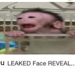 monke | iceu | image tagged in dream leaked face reveal,funny,memes,trending,front page plz | made w/ Imgflip meme maker