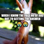 Praise God squirrel | 😭😭; ME
WHEN I KNOW THE PAGE NO OF ANS
BUT TO GETTING THE ANSWER | image tagged in praise god squirrel | made w/ Imgflip meme maker