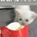 It's not pleasant when I have to eat the Last fry ? | IT'S ALWAYS A STRUGGLE OF MINE WHEN I COME TO THE LAST FRY | image tagged in cat last of french fries mcdonalds,cat,fries | made w/ Imgflip meme maker