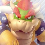 bowser close up