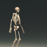 Ai skeleton