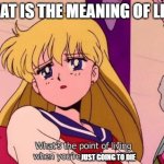 seriously what is the point in living | WHAT IS THE MEANING OF LIFE? JUST GOING TO DIE | image tagged in sailor moon what s the point of living,sailor moon,the meaning of life | made w/ Imgflip meme maker