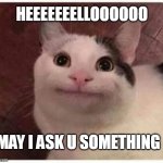 Polite Cat | HEEEEEEELLOOOOOO; MAY I ASK U SOMETHING | image tagged in polite cat | made w/ Imgflip meme maker