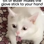 i hate it when this happens | When you're washing the dishes and a bit of water makes the glove stick to your hand | image tagged in cat gag,dive,funny,meme,dishes | made w/ Imgflip meme maker