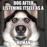 Loyalty nd humans | DOG AFTER LISTENING ITSELF AS A; "HUMAN" | image tagged in scared dog | made w/ Imgflip meme maker