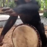 monkey drum GIF Template