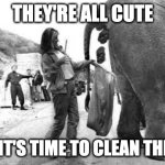 Elephant Poop Bad Day | THEY'RE ALL CUTE; UNTIL IT'S TIME TO CLEAN THE CAGE | image tagged in elephant poop bad day | made w/ Imgflip meme maker