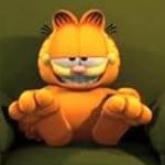 The Garfield Show