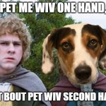 doggo want second pets | YOU PET ME WIV ONE HAND, YUS; WHAT BOUT PET WIV SECOND HAND ? | image tagged in second breakfast | made w/ Imgflip meme maker