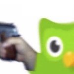 Duolingo Bird With A Gun meme