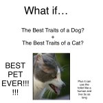 THE BEST PET EVER! meme