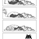 Wolf Sleep Routine
